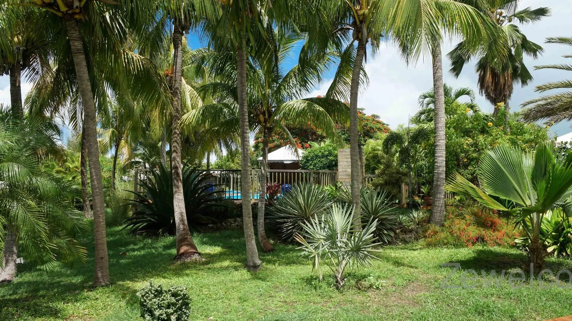 Bungalow Pitaya Saint-Francois  Dom wakacyjny